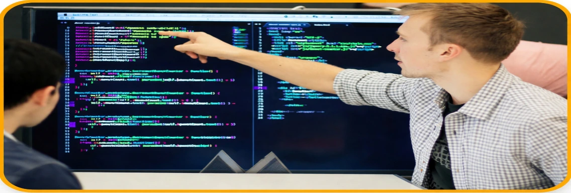 Web Developer